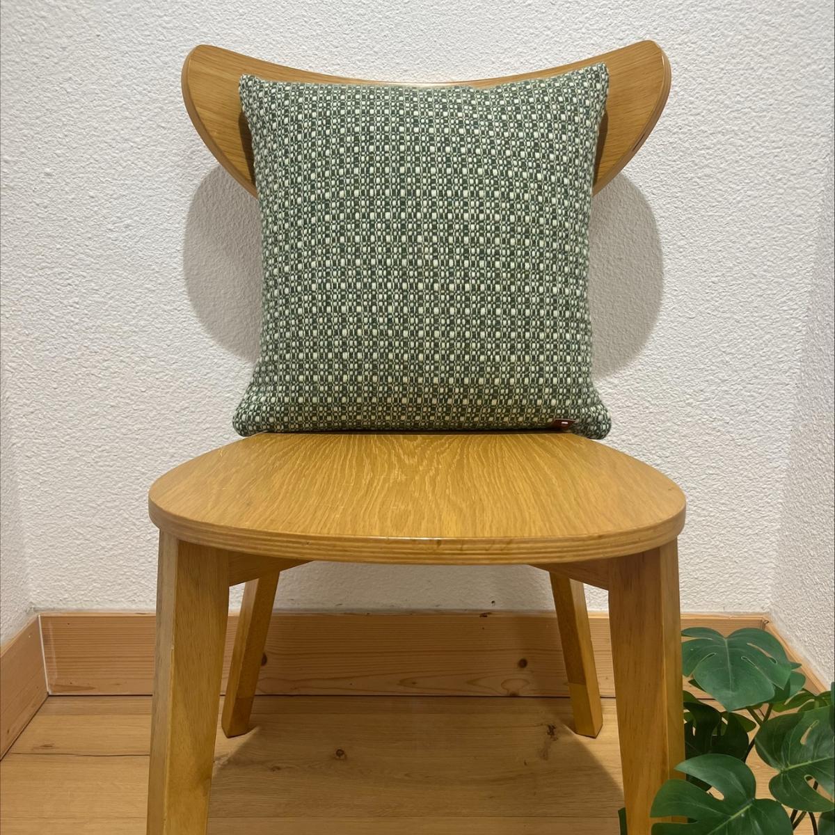 Coussin Brume / Vert Jade