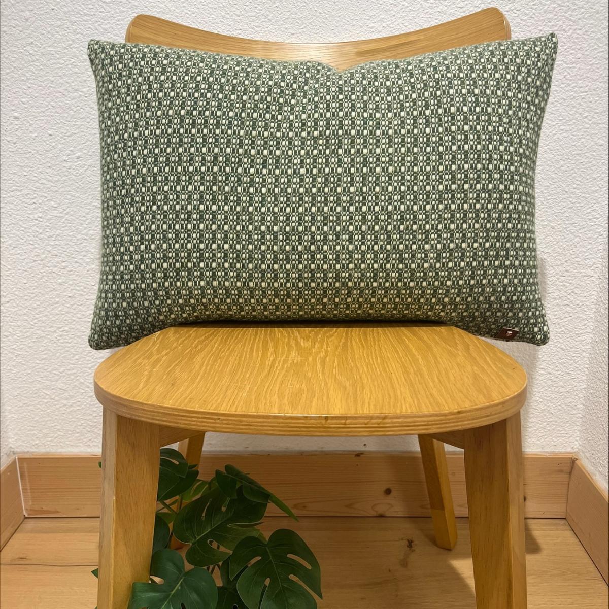 Coussin Brume / Vert Jade