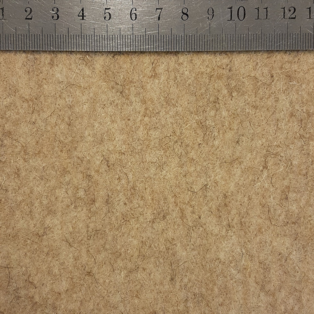 Fusine / CORDE